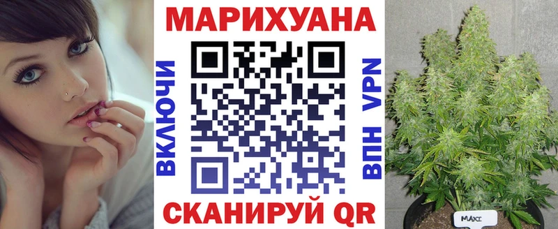 Бошки Шишки Игарка