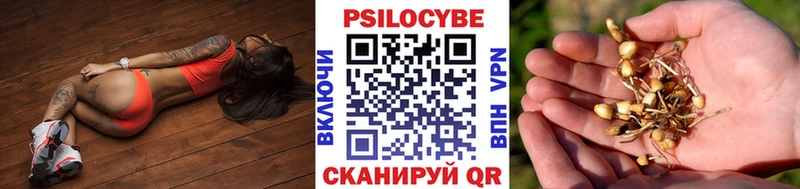 дарнет шоп  Игарка  даркнет клад  Псилоцибиновые грибы мухоморы 