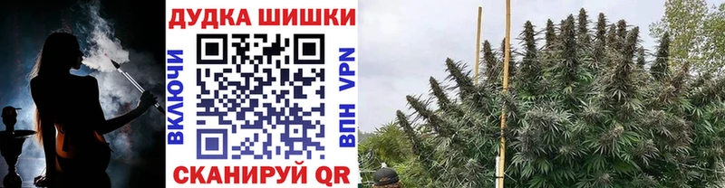Бошки Шишки ГИДРОПОН  Игарка 